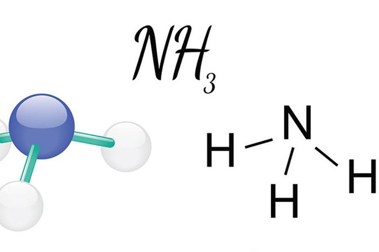 在冬天封闭状态的产房和保育舍内,每天也会产生大量的氨气并不断蓄积