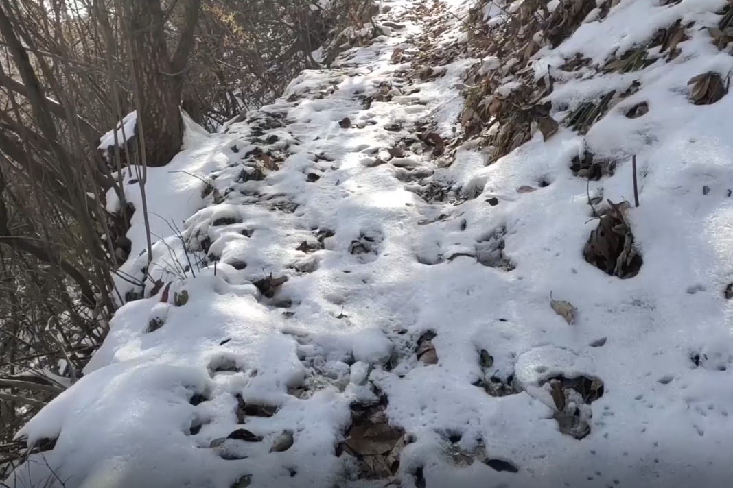 农村小伙到大山里看雪景