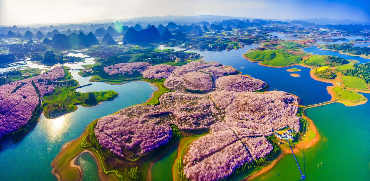 贵阳清镇强基础抓落实优化营商环境推动高质量发展