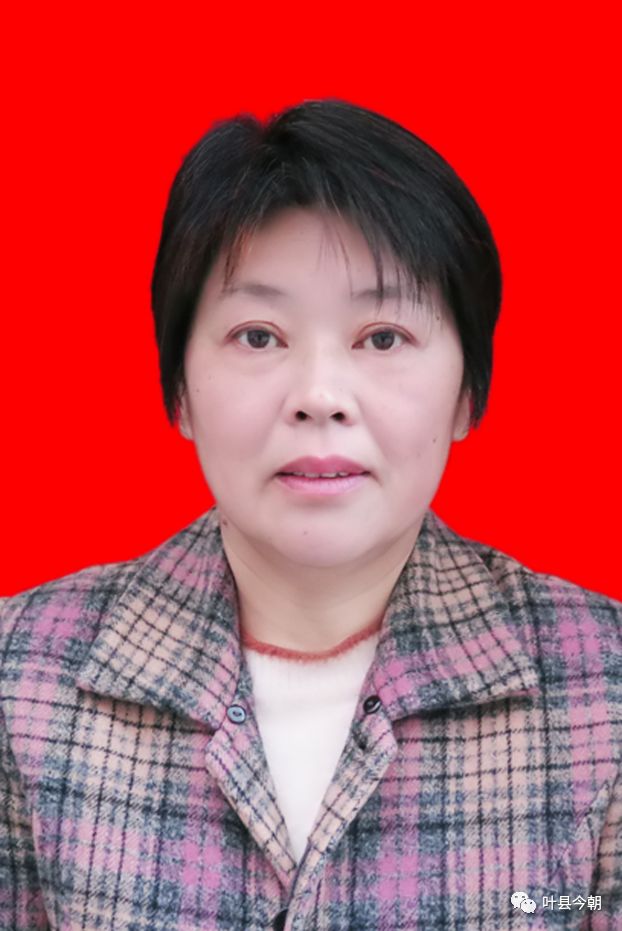 叶县人2019感动就在我们身边