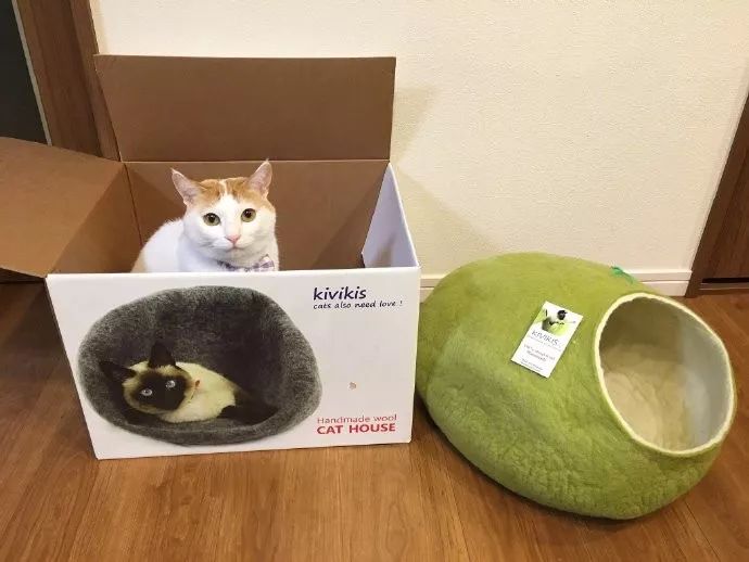 震惊日本著名歌手福山雅治居然对少女干出这种事