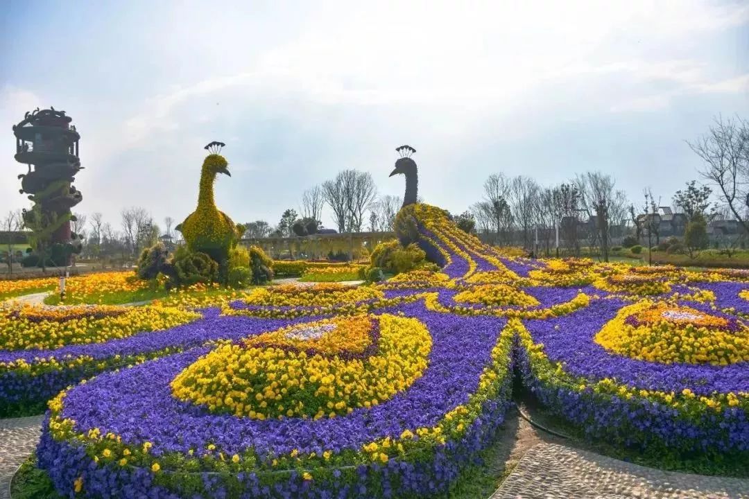 錦繡安仁花卉公園新年狂下紅包雨~不來你就虧大了