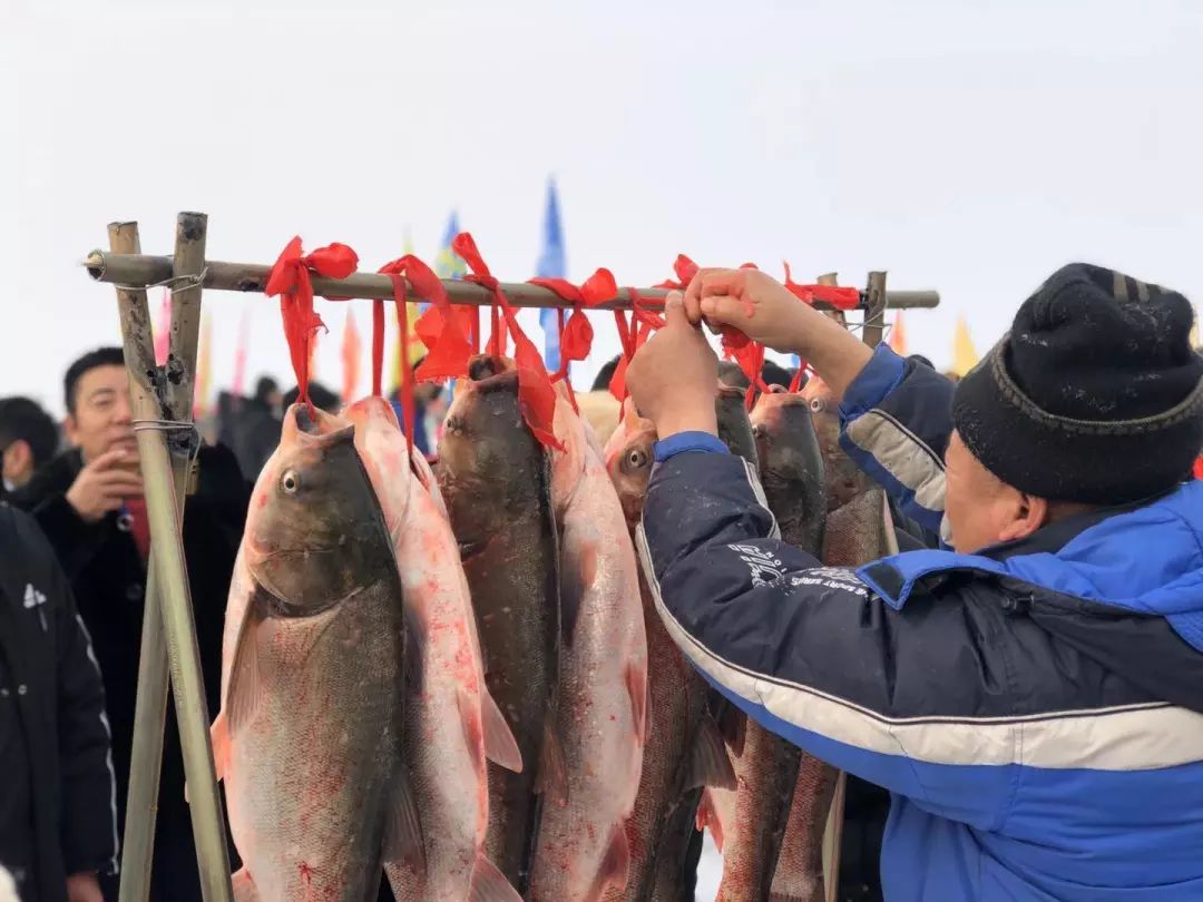 已售16万斤首届沈阳法库冬捕节震撼登场见证今冬第一网
