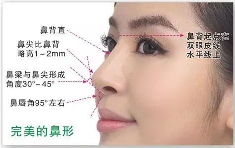 鼻额角也是130-135度之间,而且鼻背曲线非常流畅,鼻背的宽度也刚刚好
