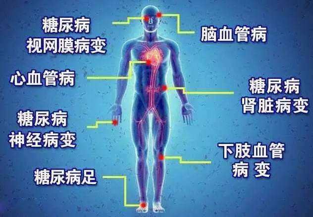 見雲:淺談糖尿病的真相