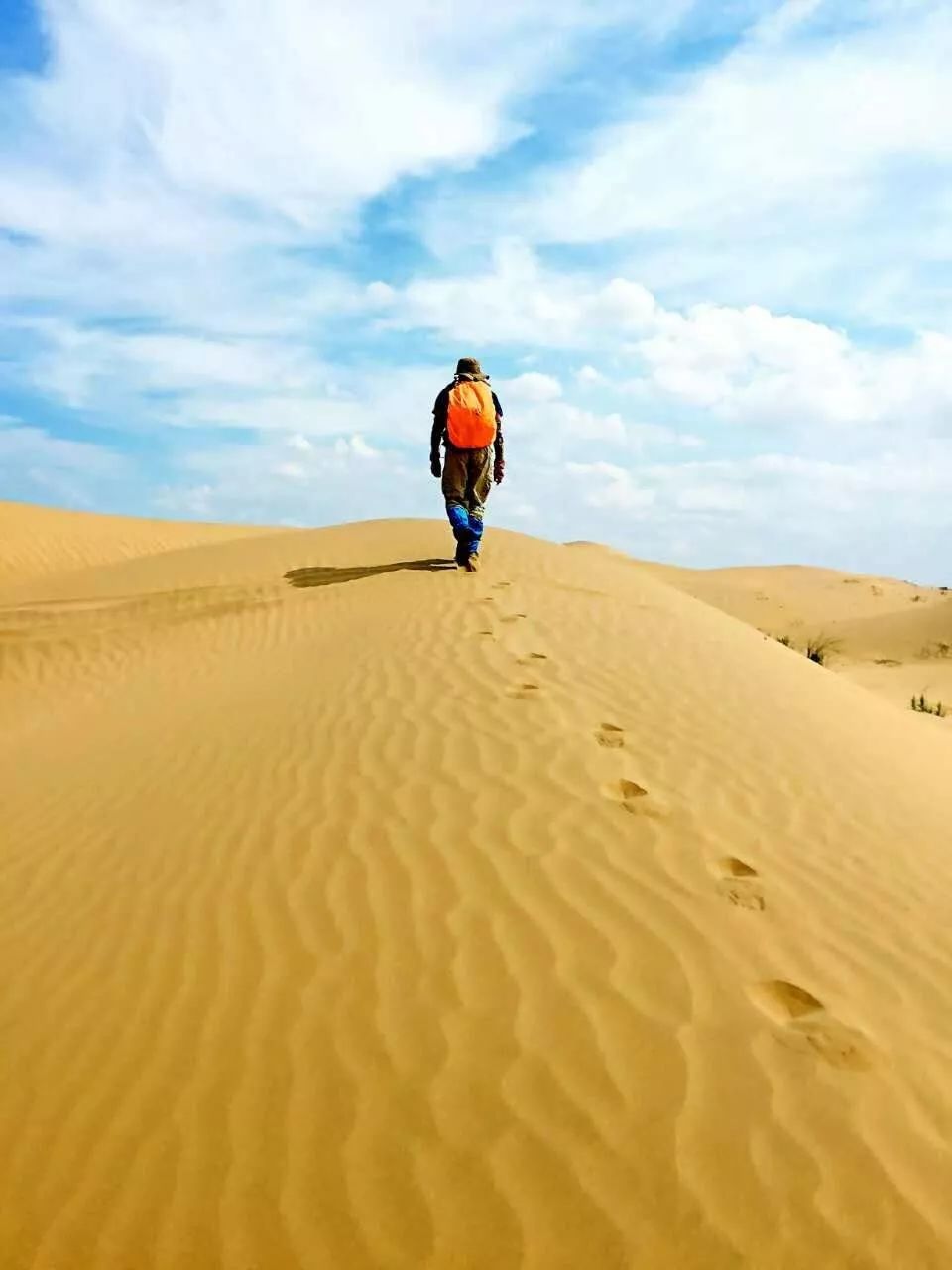 【云天社@甘肃分社】归 作者/杜雁鸿