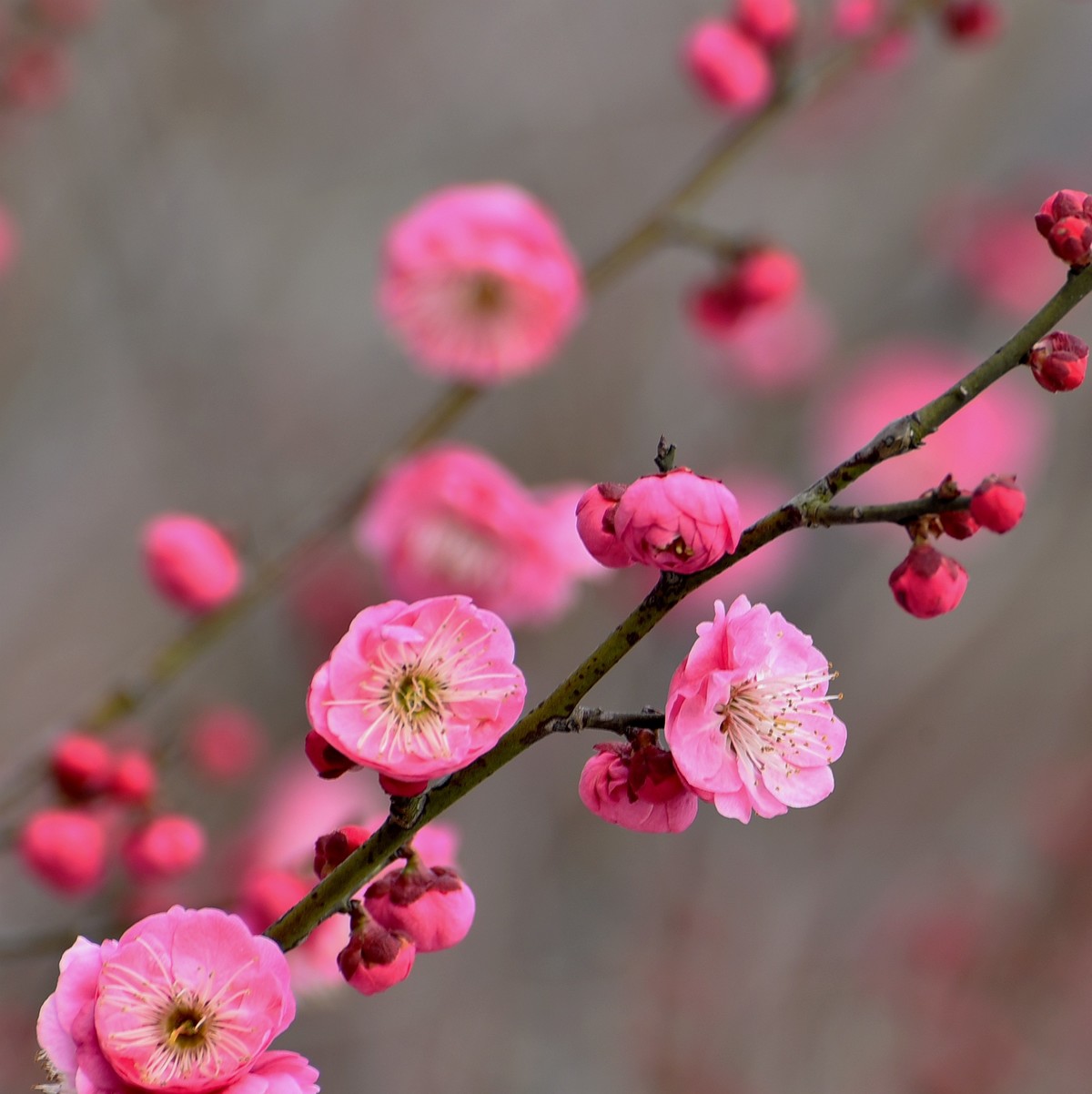 十二生肖2020年4月7日运气 属蛇人脊椎没有那样的