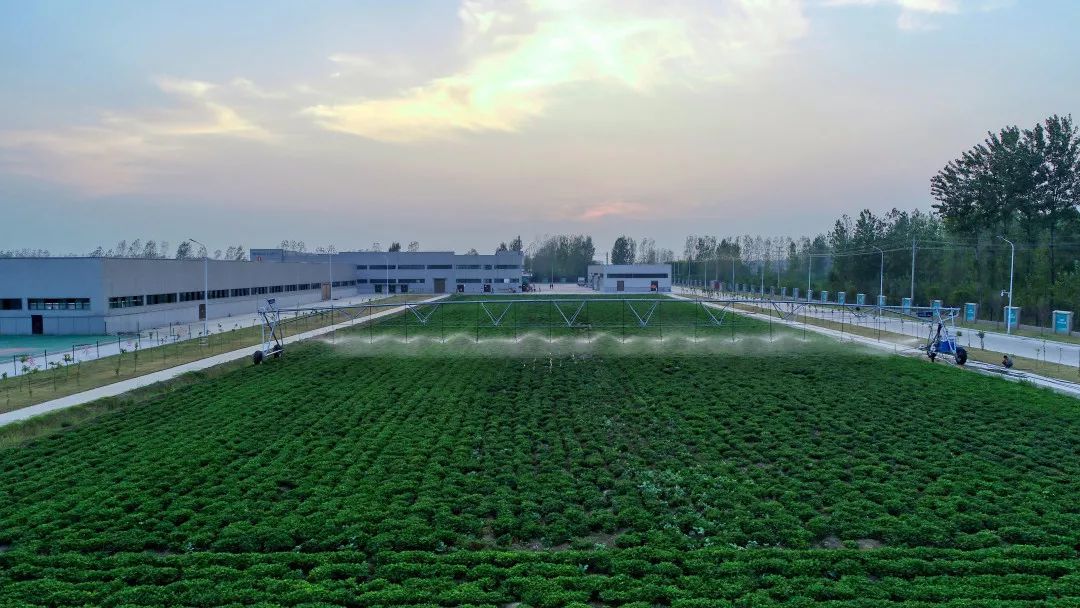 正阳这个地方上榜2019年河南省休闲观光园区公示名单啦!_花生