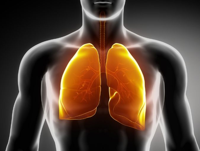 肺脏好不好看这二处冬季护肺多食三白记住6个字