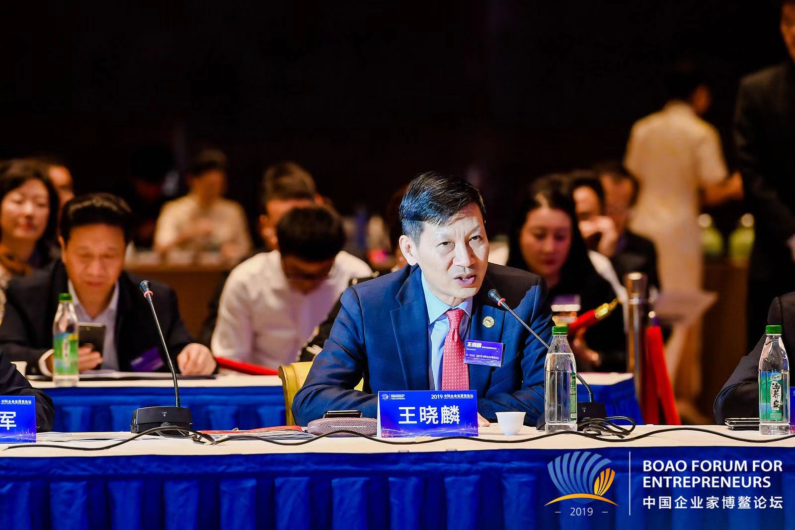 赛麟汽车董事长兼首席执行官王晓麟在中国企业家博鳌论坛发表演讲
