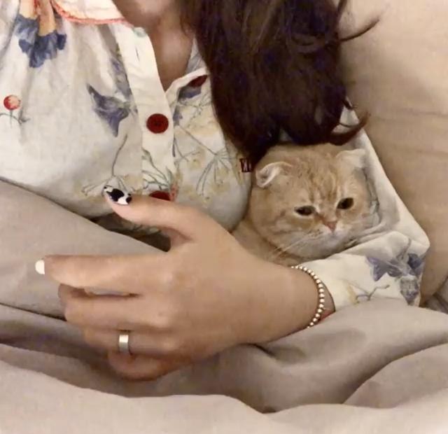 原创女孩想和猫自拍,看到小猫的表情,她瞬间把镜头对准了猫咪