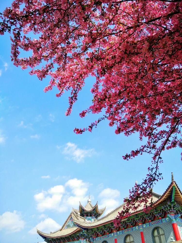 宣威宛水公园高清照片勾起儿时的回忆