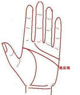 手相悉尼线有什么含义?