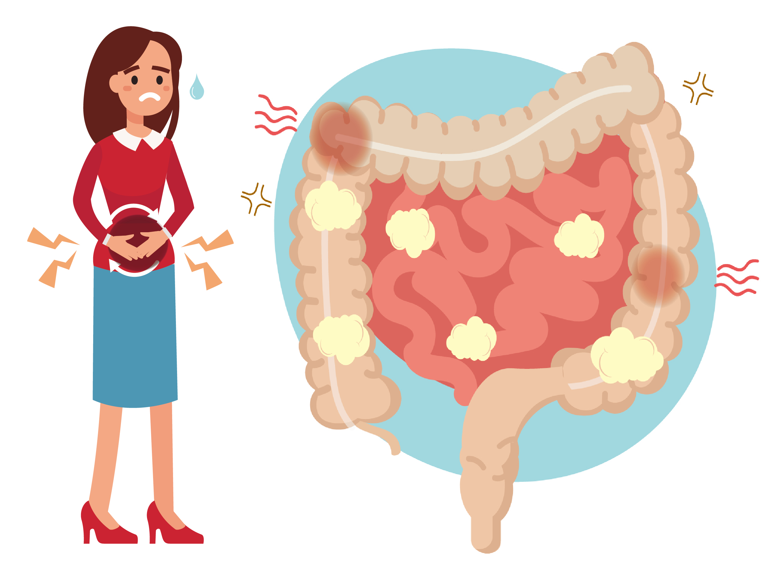 科学网—[转载]一文了解肠道菌群与各大器官的联系：肠-脑轴、肠-肾轴、肠-肝轴、肠-心轴、肠-骨骼轴、肠-皮肤轴、肠-脂肪轴 - 牛耀芳的博文