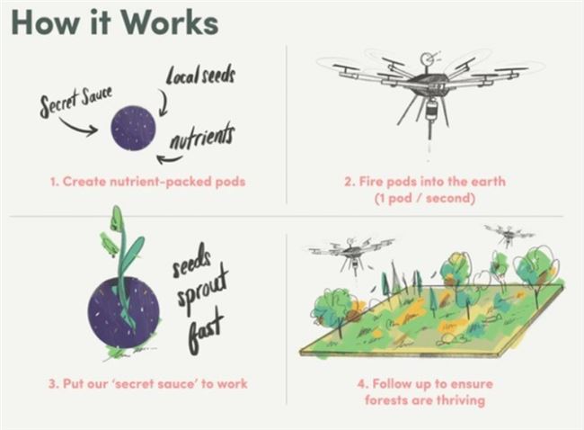 這個無人機項目到2028年要種植10億棵樹 比人工快10倍 科技 第2張