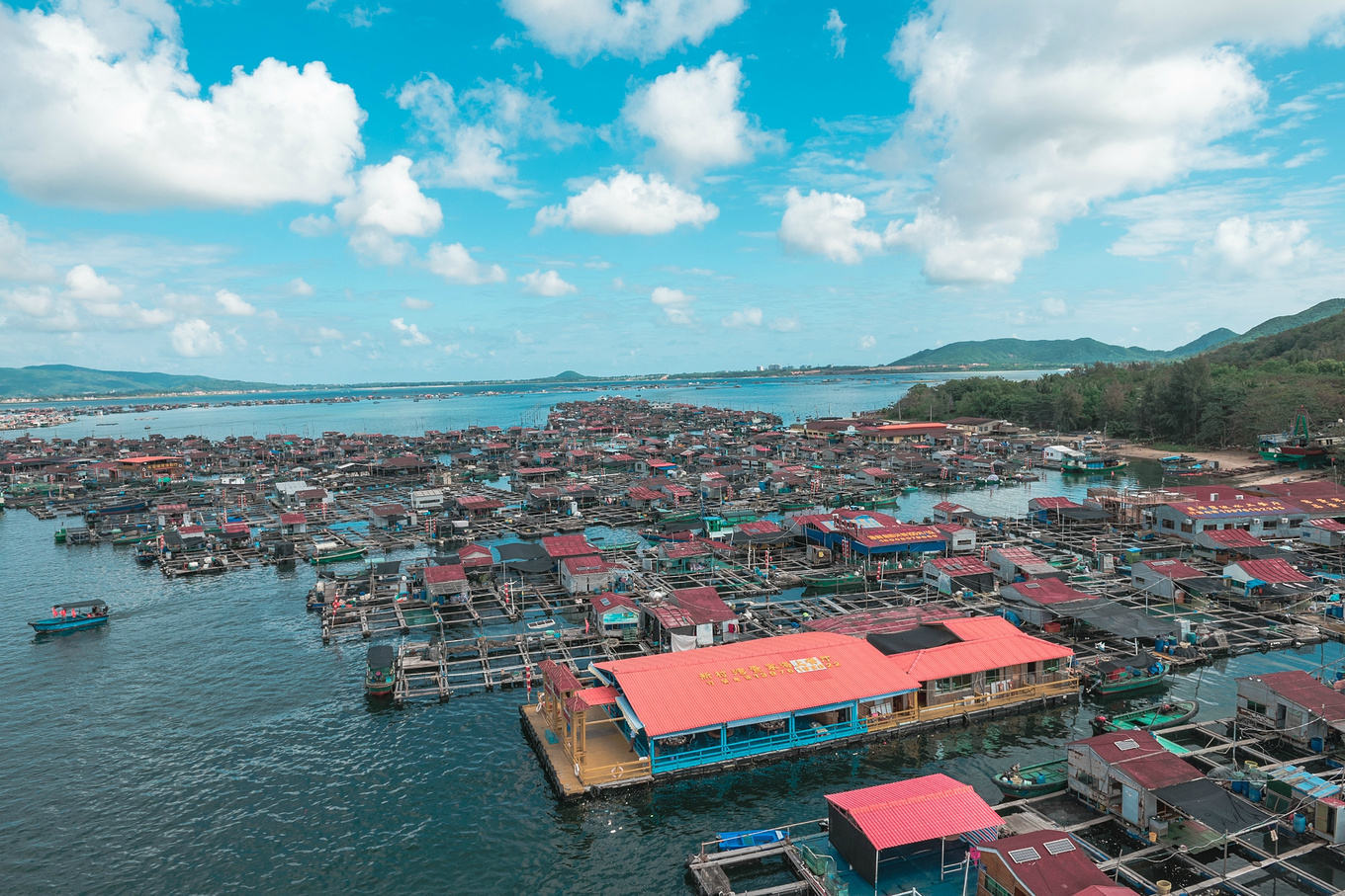 與猴共舞,沙灘追尋浪漫,冬季海南旅遊不可錯過的小眾網紅景點