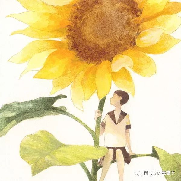 屋檐荐听|花 之 歌(深度好文)-搜狐大视野-搜狐新闻