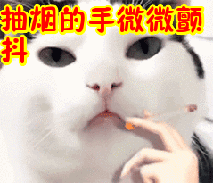 239_205gif 动态图 动图