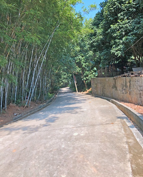 儋州那大镇整治农村人居环境群众生活更幸福