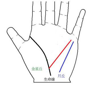 看手相水星线对运势的重要性