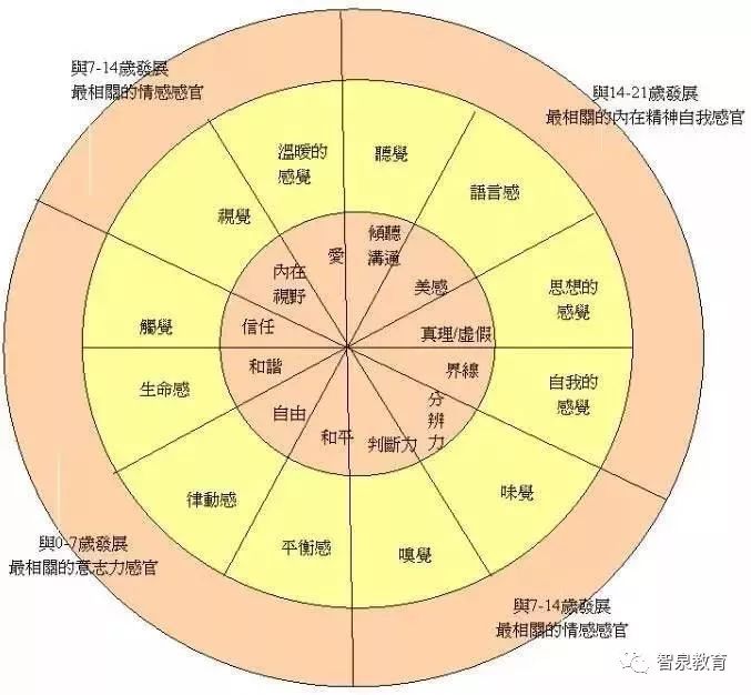 听觉语言觉思想觉自我觉丁鹏聊十二感官