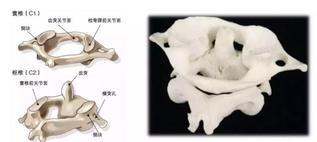 做颈椎正骨要不要看片子?