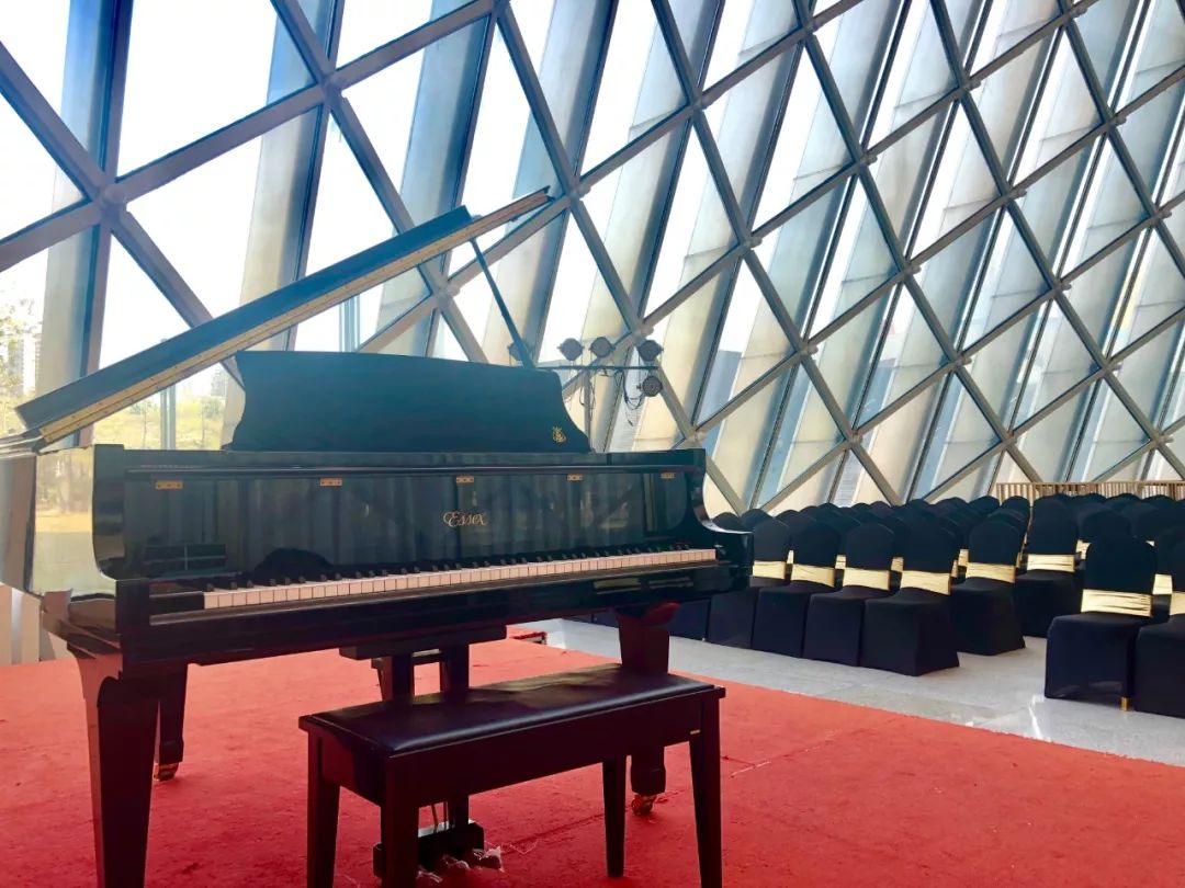 乐尚琴吧第四届音乐沙龙总决赛在深圳音乐厅举行