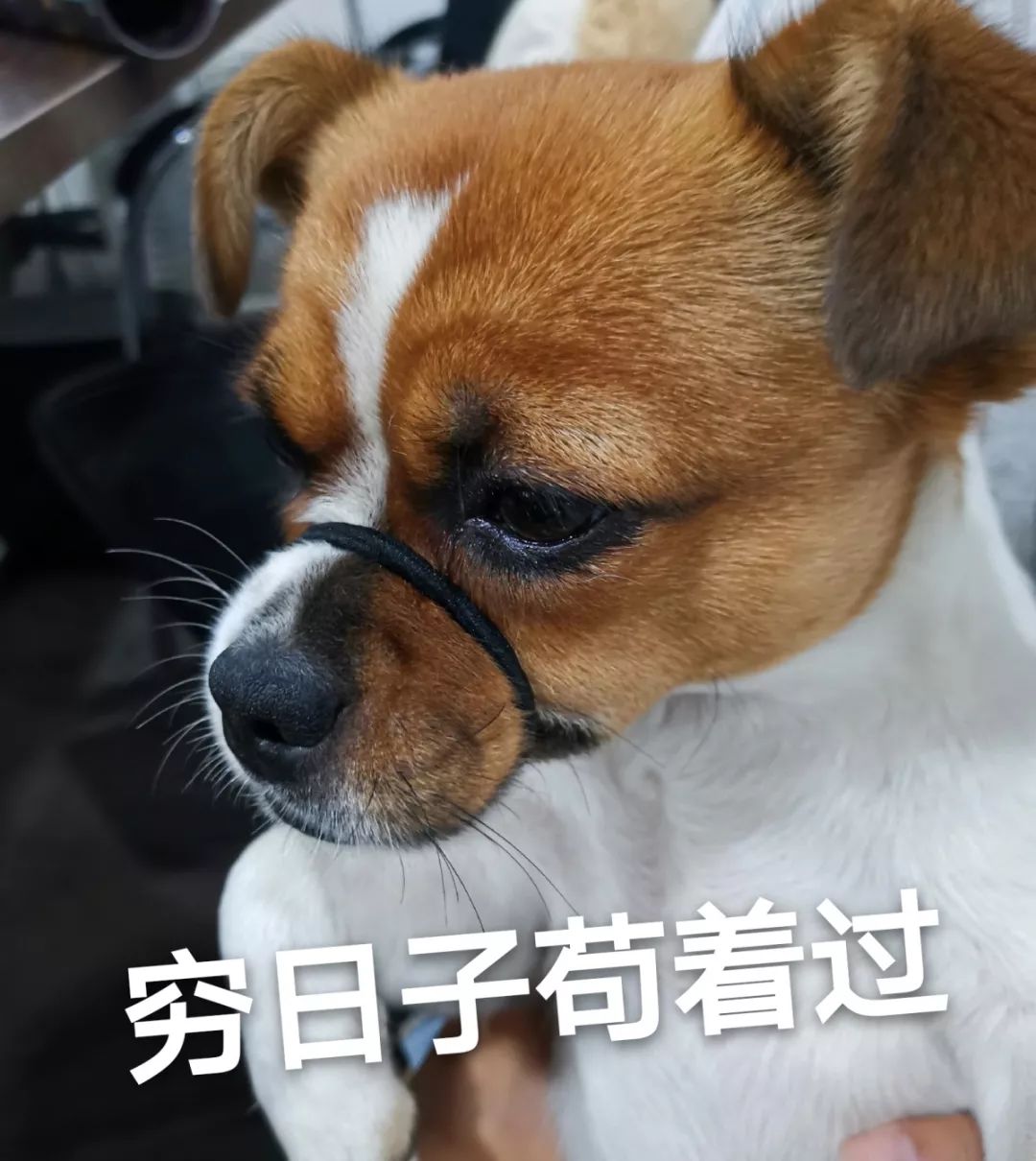 接下来30天,将是南通人最难熬的日子!最后一个已哭瞎._噩耗