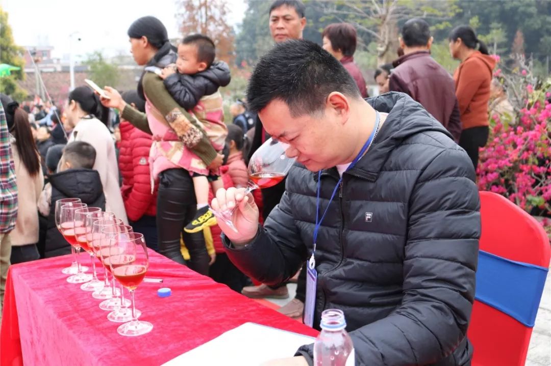 坂里乡第五届红酒大赛也隆重展开,在评酒环节中,现场专家从红曲酒风格