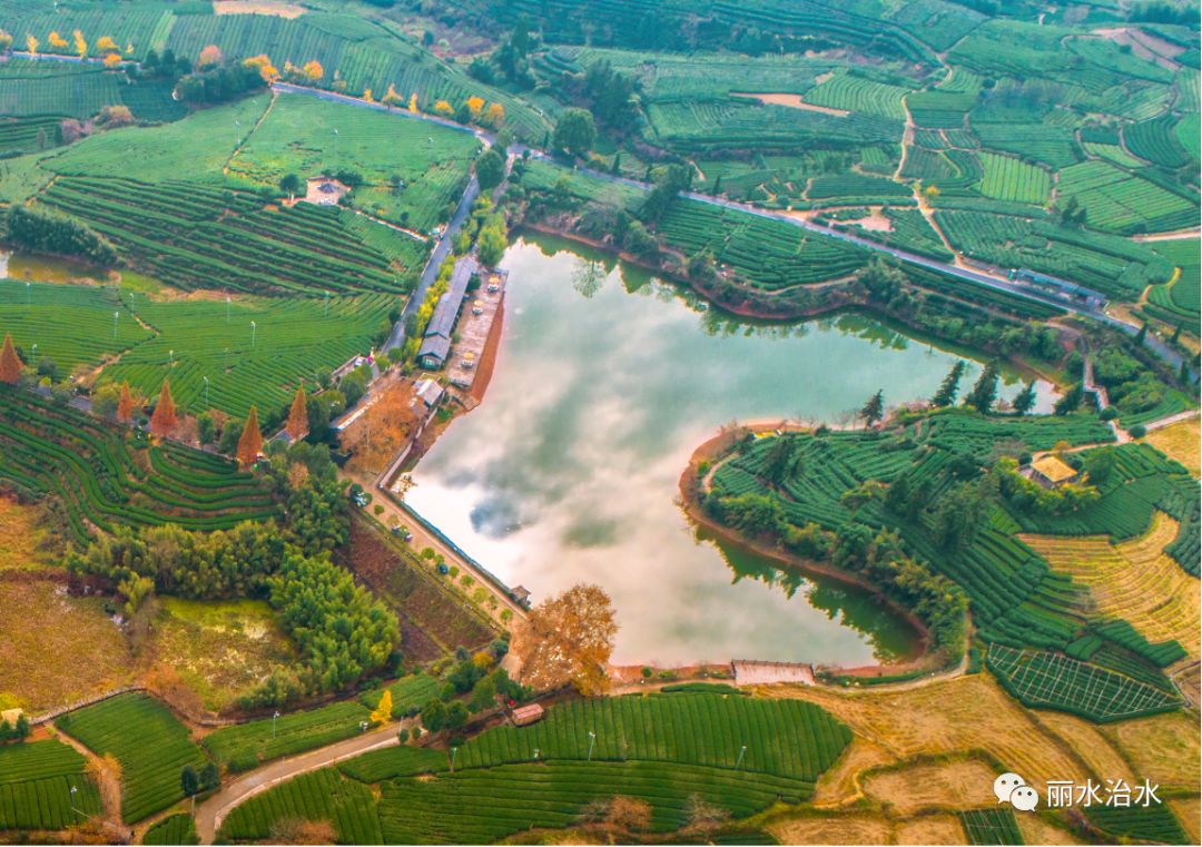 松阳新兴镇多措并举抓整治小微水体大变身