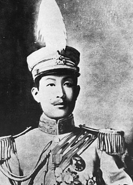 请他到云南做军务的云贵总督李经羲礼送出境,然后自己就职云南总督