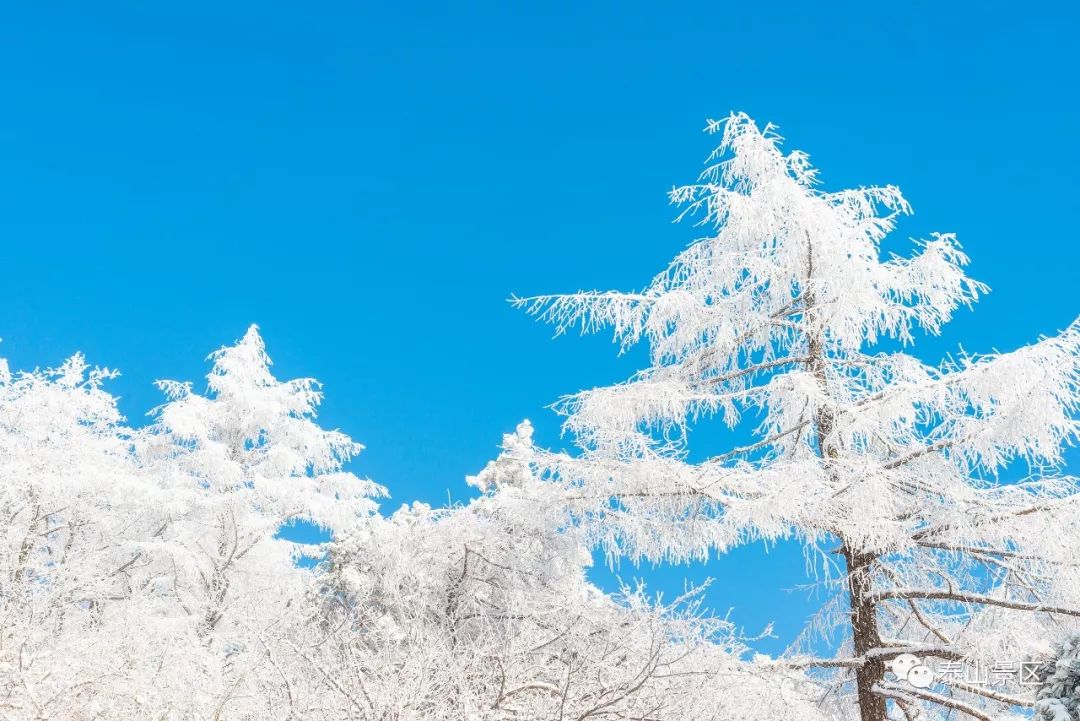 願你三冬暖一生永平安