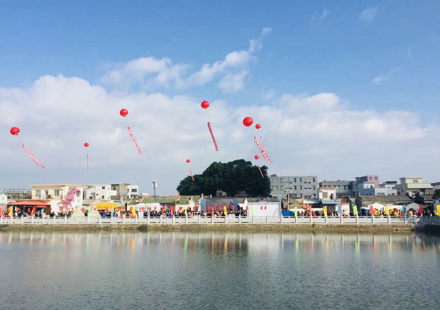 晨洲蚝村产业碰撞未来美丽乡村建设成果显著