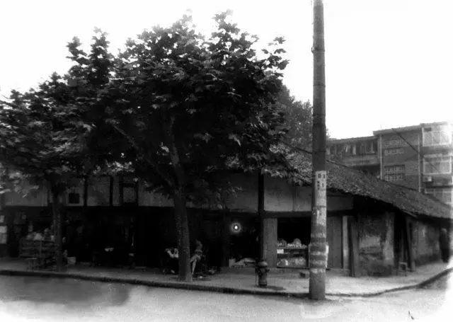 都江堰的这些老照片,你都看过吗?