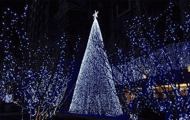 381_240gif 动态图 动图