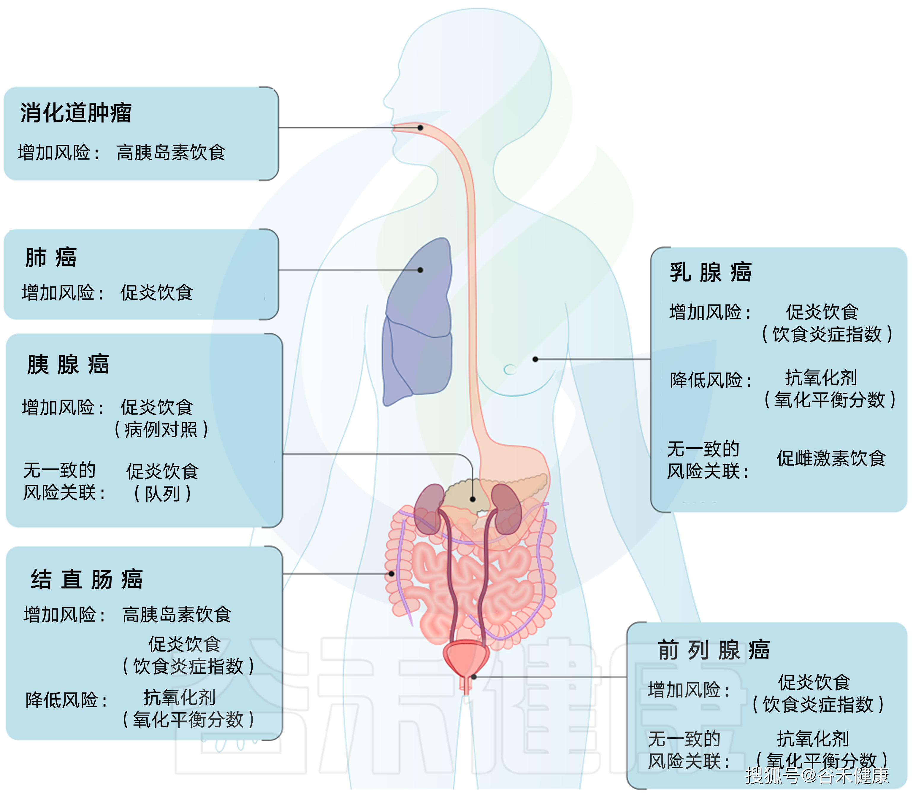 饮食习惯或将引领新的健康革命