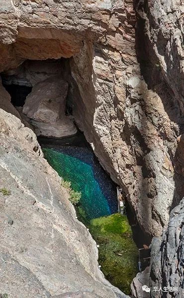 它们只生活在mojave沙漠中的死亡谷国家公园内,名为  "魔鬼洞"的隐密