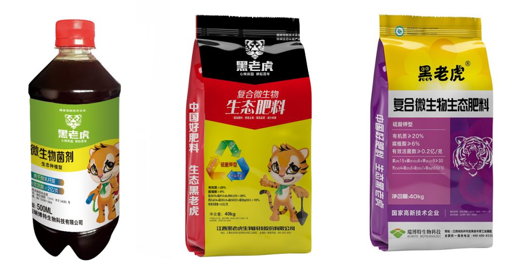 他详细介绍了黑老虎复合微生物生态肥系列产品在黄瓜上的施肥技术及