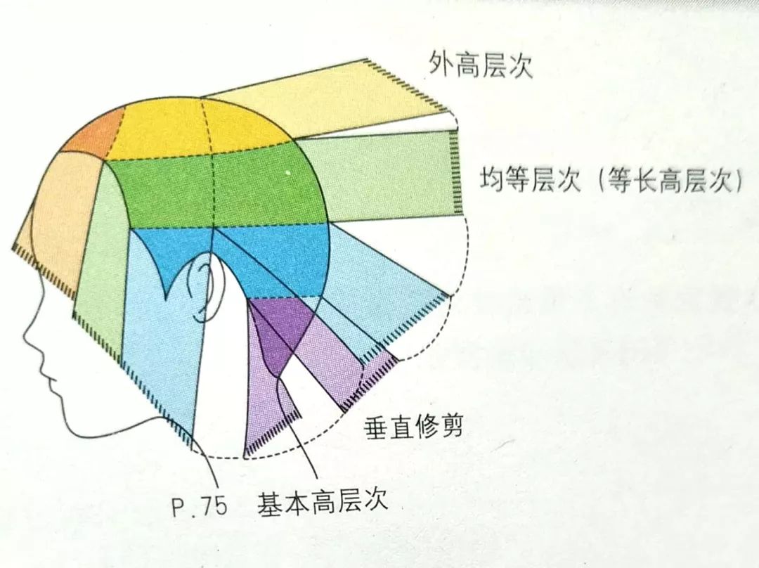 技术分享——基本高层次的修剪技巧