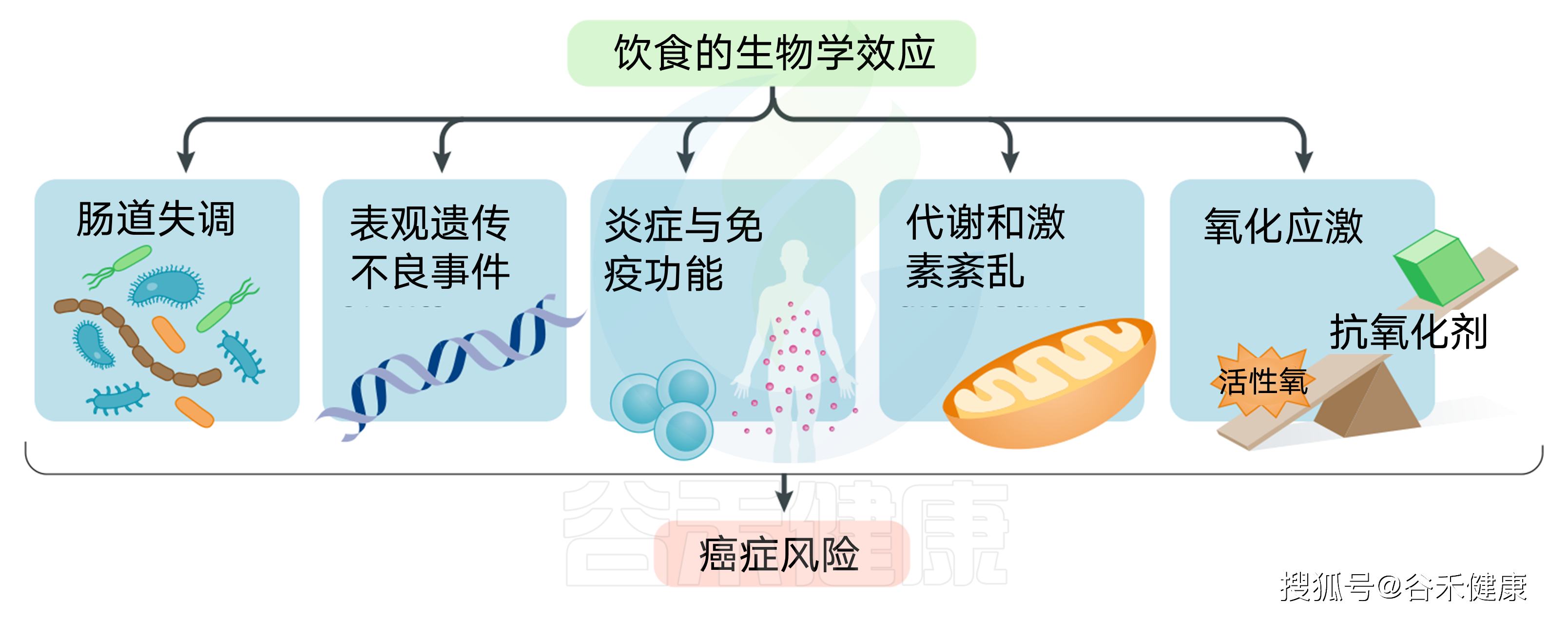 关于健康饮食作息规律的人还是会生病吗的信息-第2张图片-鲸幼网