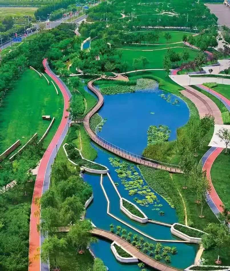 荣膺2019绿色发展优秀城市生态城的绿色你知道多少