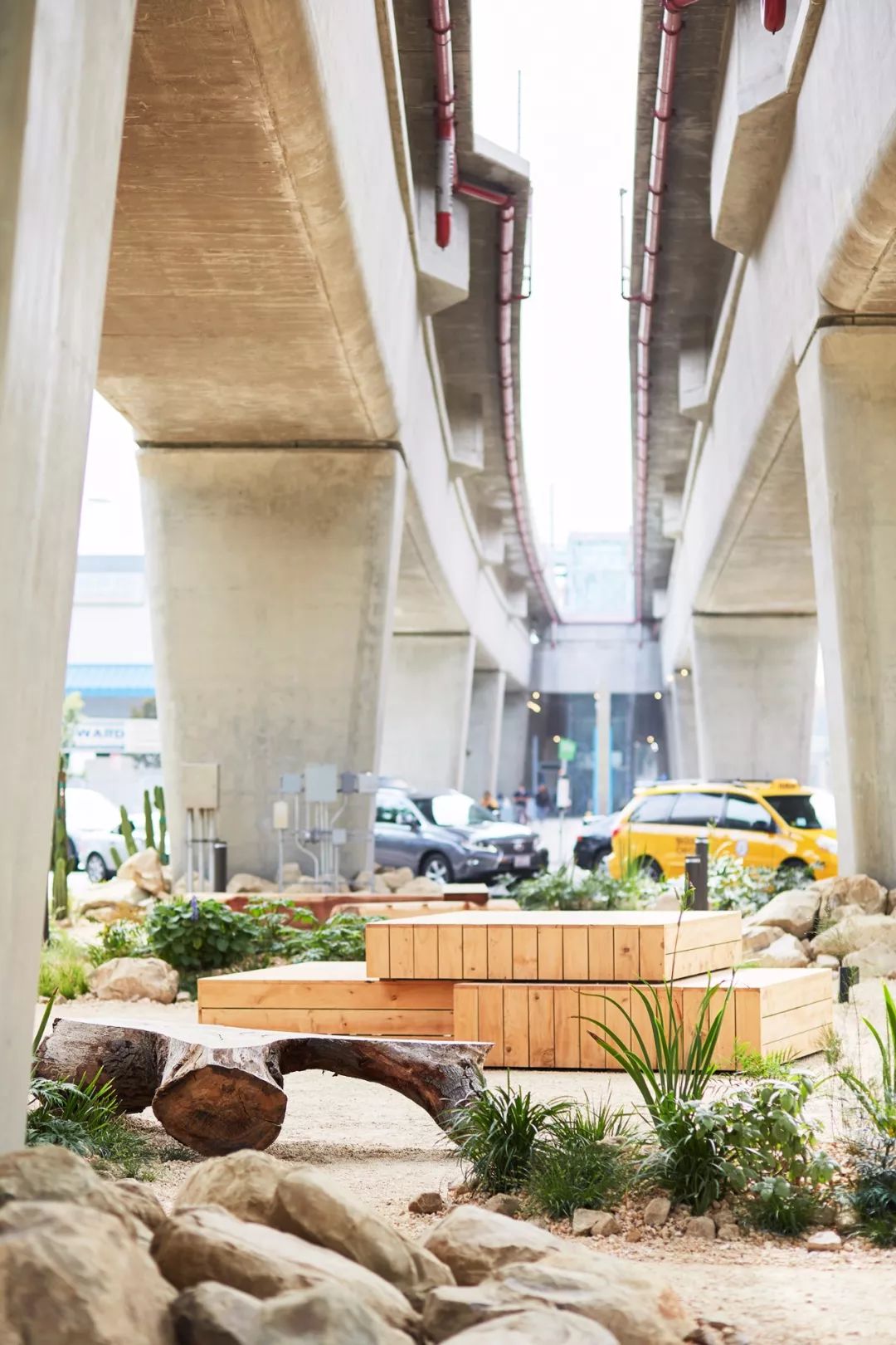 桥下空间这样操作,丰盛!