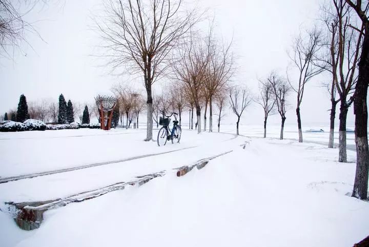 聆听 | 新年颂歌(爱莲说朗诵作品)