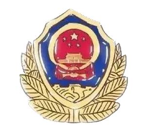 这个寒假圆孩子一个警察梦2020少年警校警营冬训营来啦