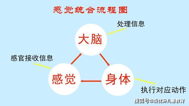 什么是感统训练,感统训练对孩子有什么作用,3-8岁的孩子适合吗