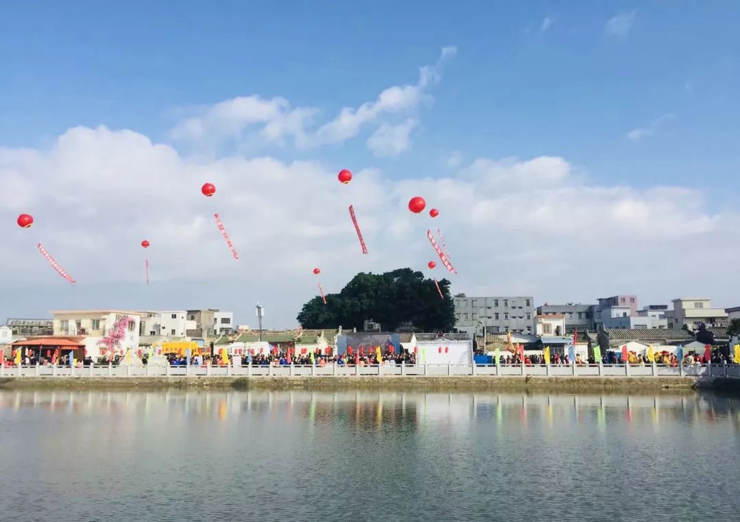 晨洲蚝村产业碰撞未来,美丽乡村建设成果显著