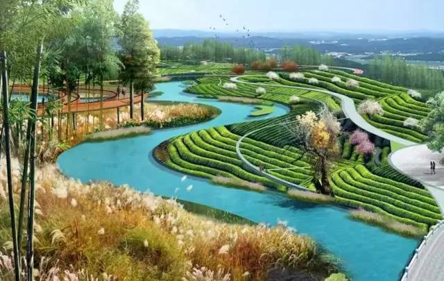 快看北城竹海三期工程即将启动与一期二期形成千亩竹林