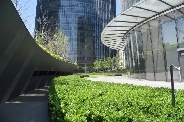 城市空间 | 北京保利国际广场的景观设计达成完美契合建筑造型的目的_绿篱