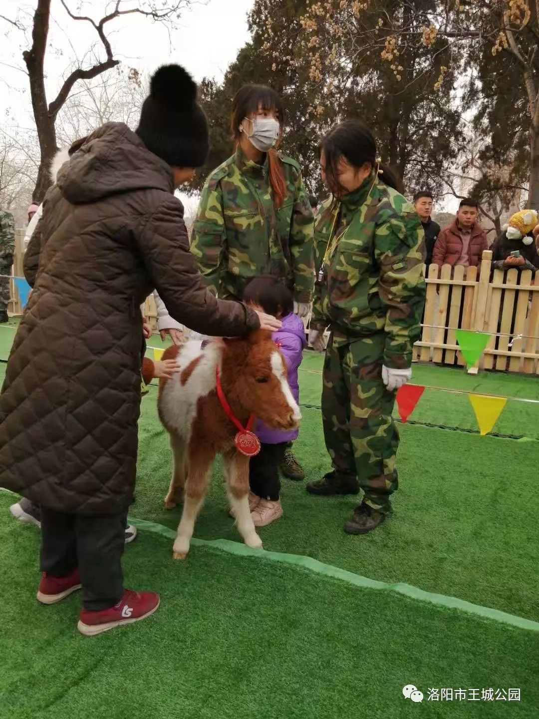 王城公园首届萌宠宝宝运动会你参加了吗?