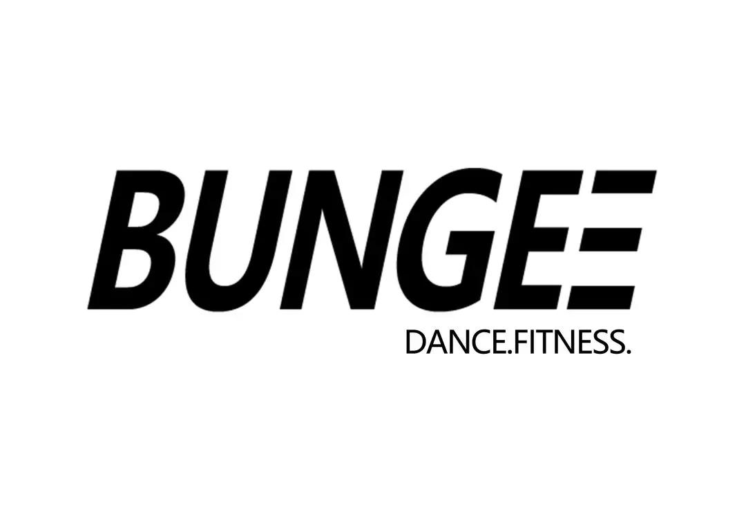 蹦极健身运动教练导师培训长沙(国内称活力带弹力带导师培训)_bungee